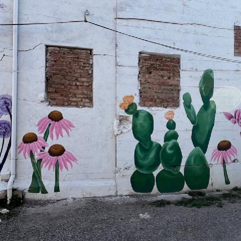 photo-6.jpg