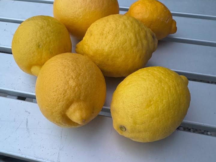 image from Arizona Sunsets and Free Citrus at LazyDays Tucson