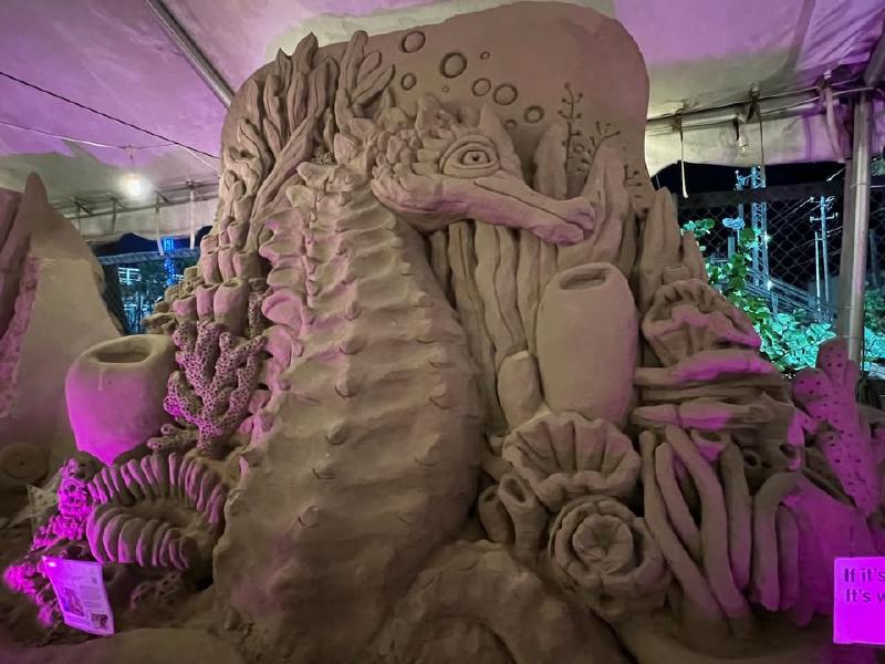 image from Holiday Sandcastle Village of South Padre Island