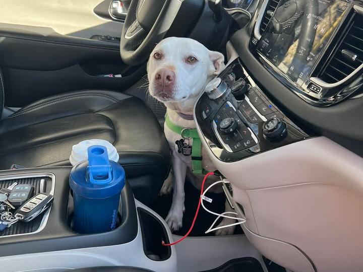 image from I’m not sure what Coco is trying to say here
