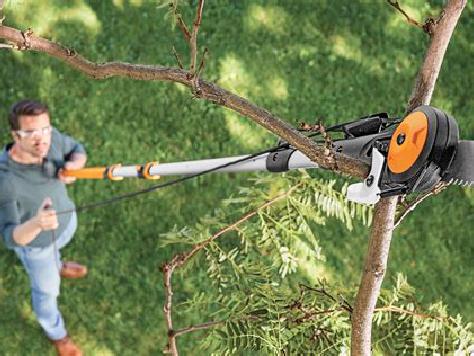 image from Low Branches & Close Calls: Why We're Adding a Pole Saw