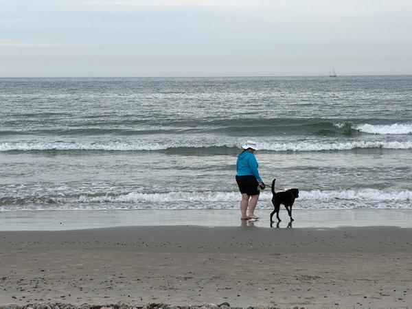 Millie isn't a fan of the waves