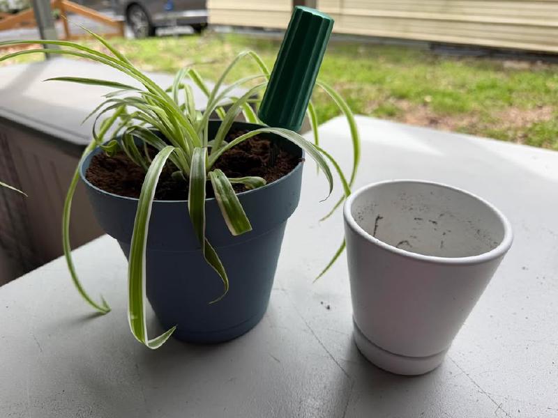 image from Parker's New Pot + Our RV Adventure Begins