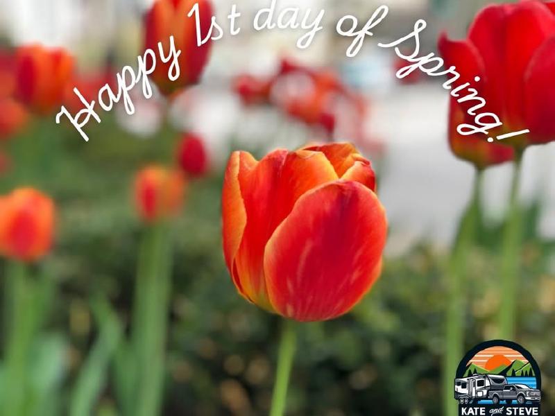 image from Spring starts TOMORROW!