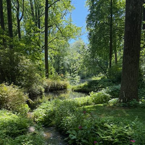 photo-10.jpg