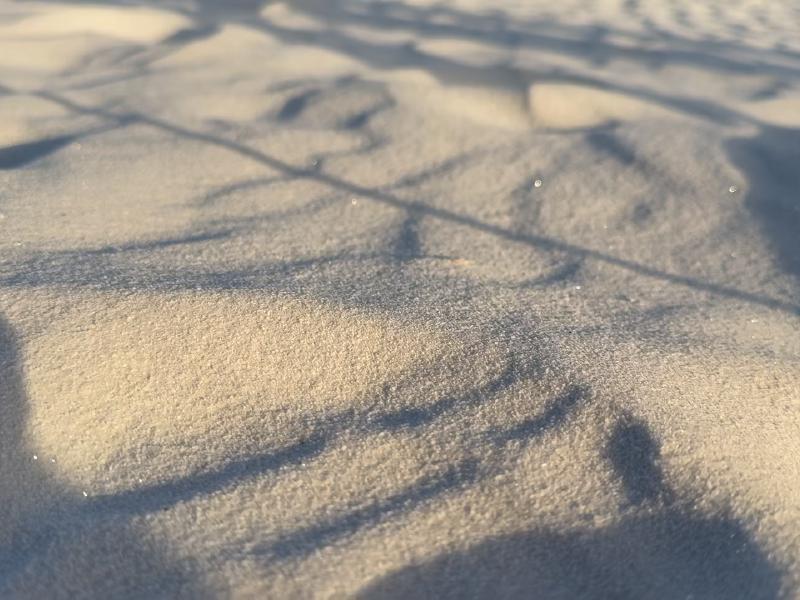 image from Watching Sand Dunes Shift Before Our Eyes