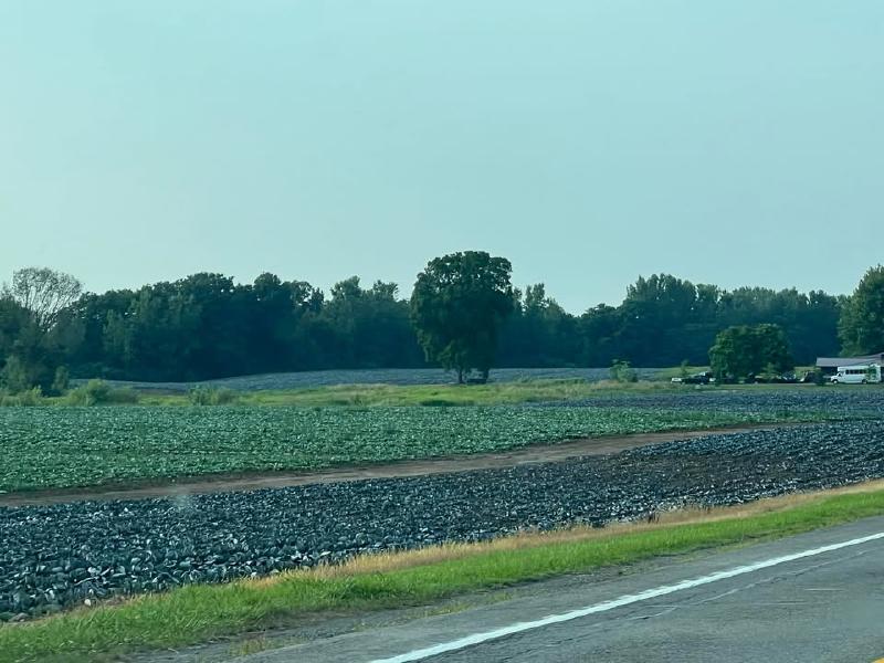 image from We’ve finally seen crops other than corn and soybeans