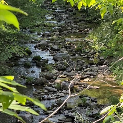 photo-7.jpg