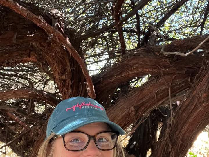 image from World's Largest Rose Tree in Tombstone, Arizona